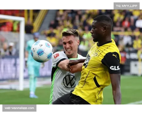 沃尔夫斯堡球员佩契诺维奇两场三球 领跑德国杯射手榜